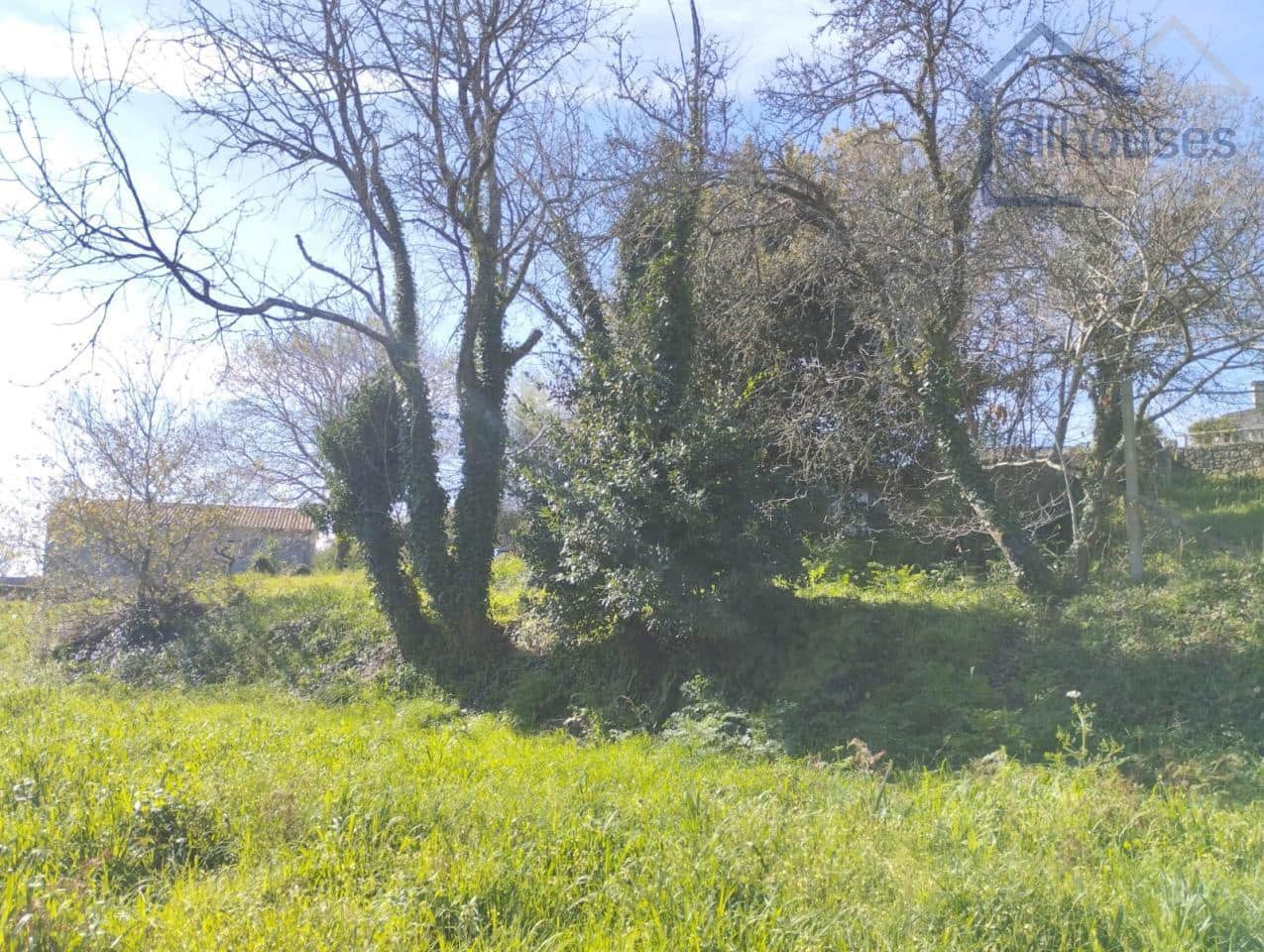 Undeveloped Land for sale in O Rosal - € 43,700 (Ref: 9417342)