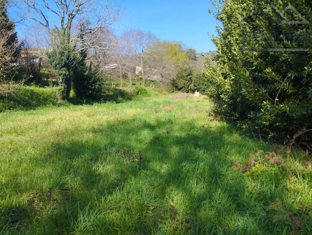 Undeveloped Land for sale in O Rosal - € 43,700 (Ref: 9417342)