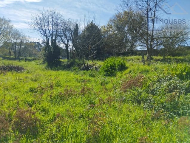 Grond te koop in O Rosal - € 43.700 (Ref: 9417342)