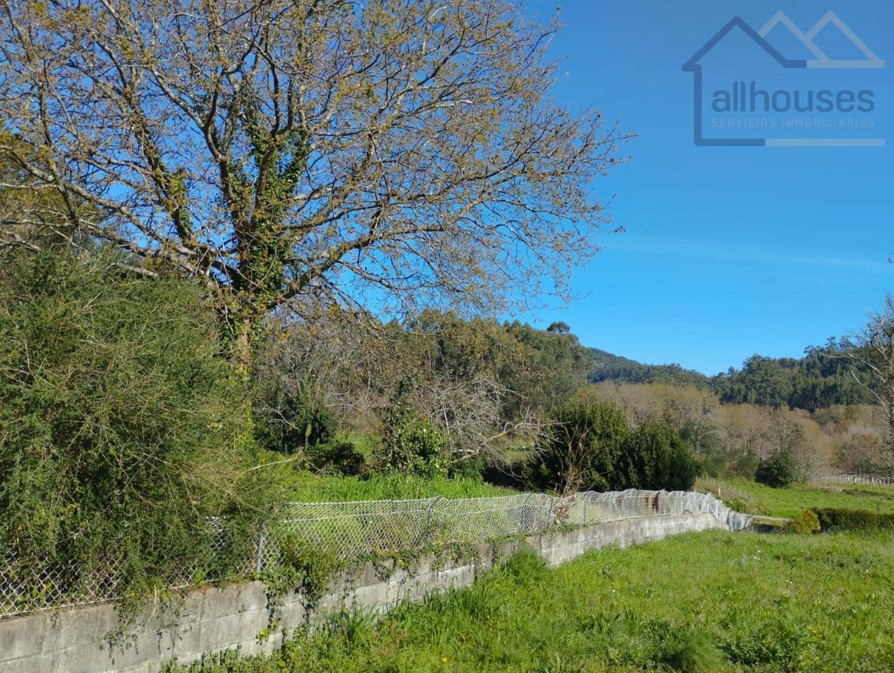 Undeveloped Land for sale in O Rosal - € 43,700 (Ref: 9417342)
