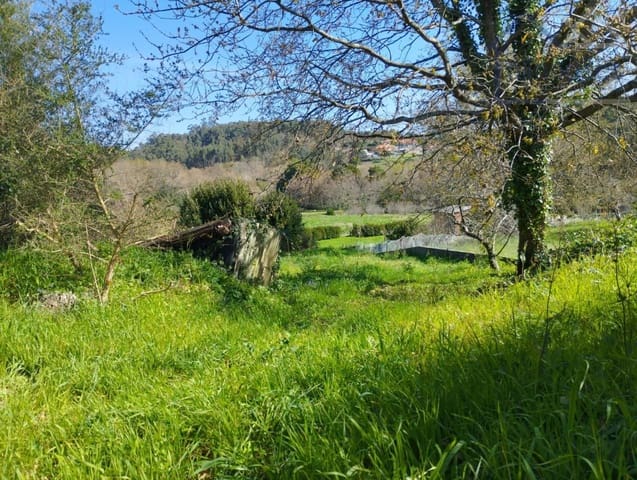 Grond te koop in O Rosal - € 43.700 (Ref: 9417342)