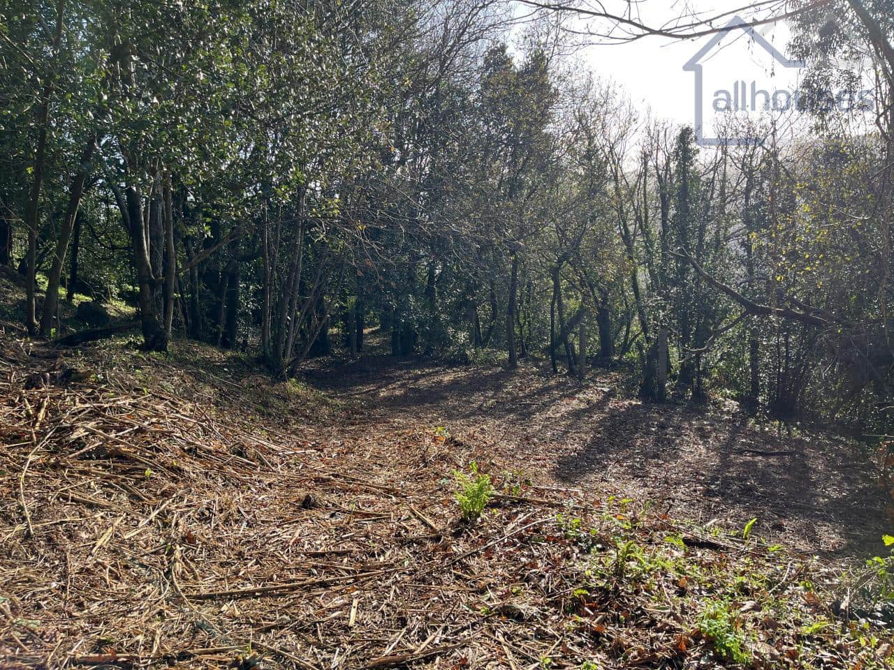 Undeveloped Land for sale in Vigo - € 37,500 (Ref: 9417343)