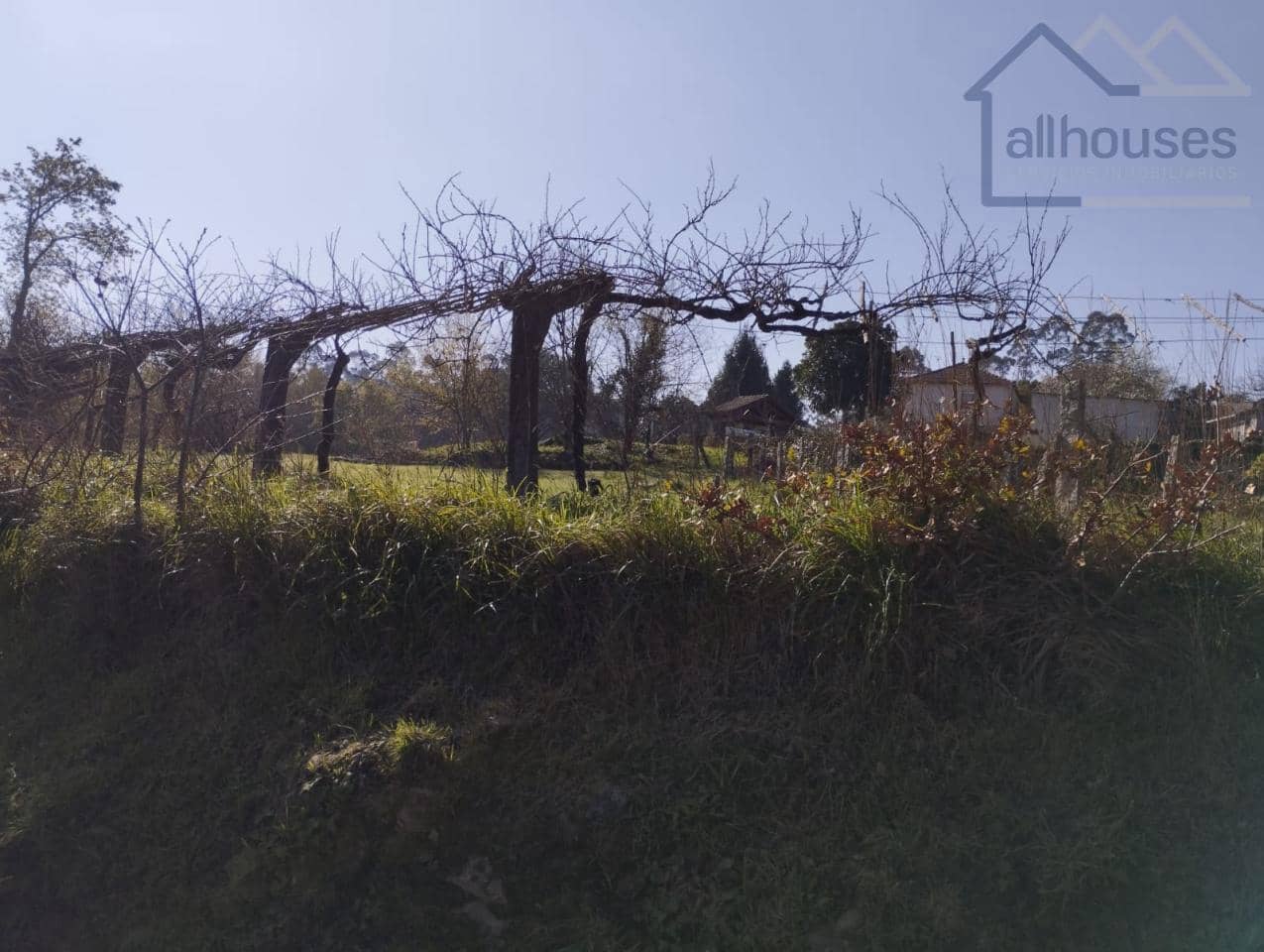 Undeveloped Land for sale in Tomino - € 30,000 (Ref: 9417344)