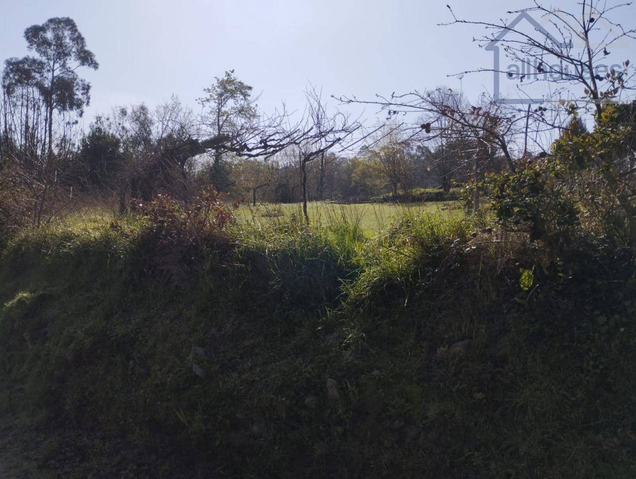 Undeveloped Land for sale in Tomino - € 30,000 (Ref: 9417344)