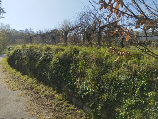 Undeveloped Land for sale in Tomiño - € 30,000 (Ref: 9417344)