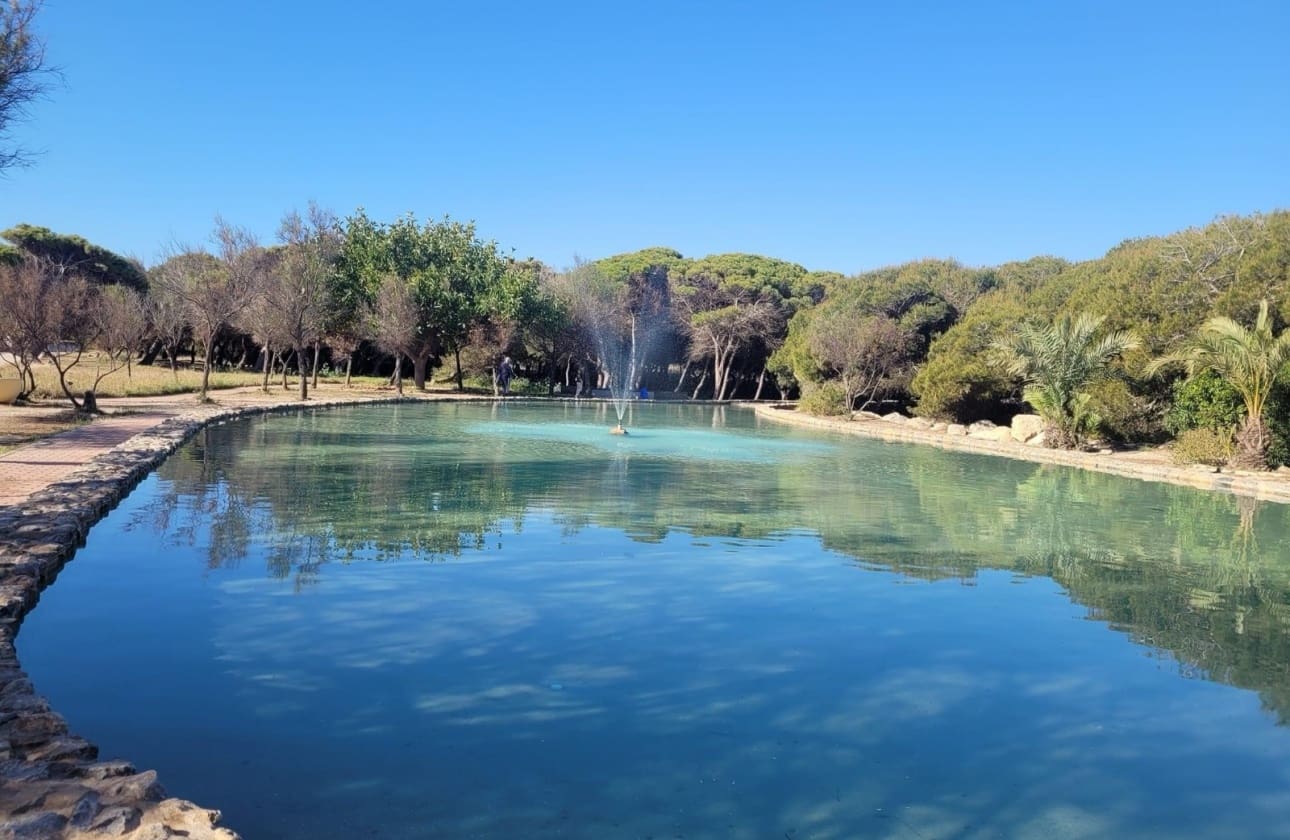 Monolocale in vendita in La Mata - 75.000 € (Rif: 10016707)