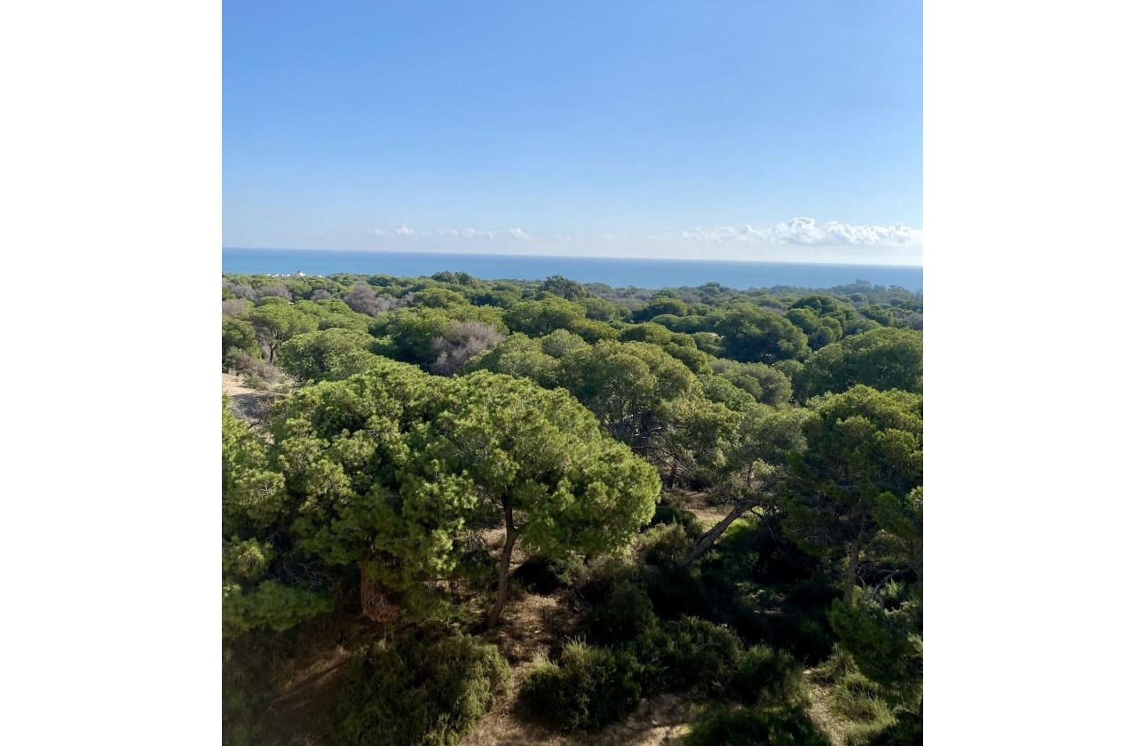 2 slaapkamer Penthouse te koop in Guardamar del Segura - € 555.000 (Ref: 10134926)