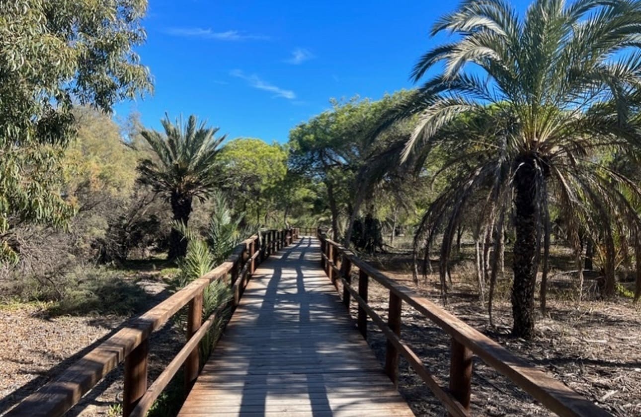 2 camera da letto Appartamento in vendita in Guardamar del Segura con piscina garage - 184.500 € (Rif: 9459828)