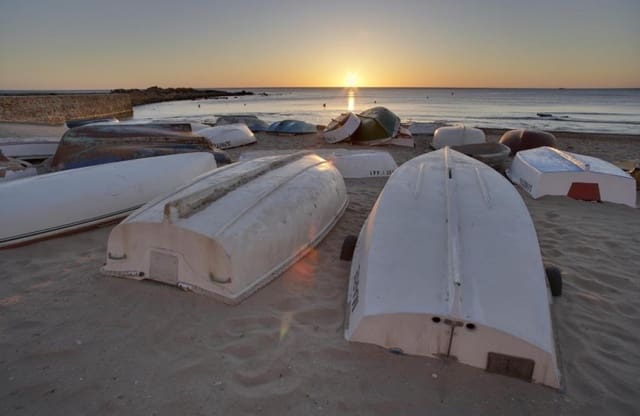 3 chambre Villa/Maison à vendre à Parque Acuático - Sector 25, Torrevieja avec piscine - 595 000 € (Ref: 9461338)