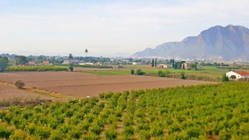 1 soverom Finca/Herregård til salgs i Callosa de Segura - € 260 000 (Ref: 9461703)