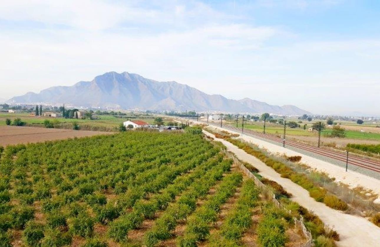 1 bedroom Finca/Country House for sale in Callosa de Segura - € 260,000 (Ref: 9461703)