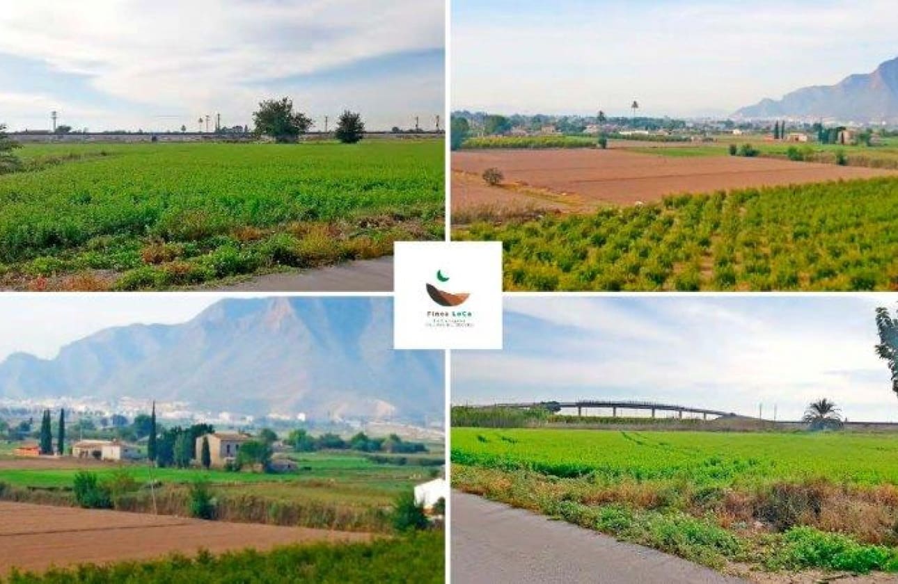 1 bedroom Finca/Country House for sale in Callosa de Segura - € 260,000 (Ref: 9461703)