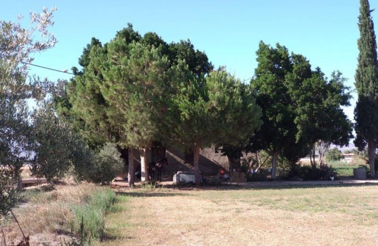 1 bedroom Finca/Country House for sale in Callosa de Segura - € 260,000 (Ref: 9461703)