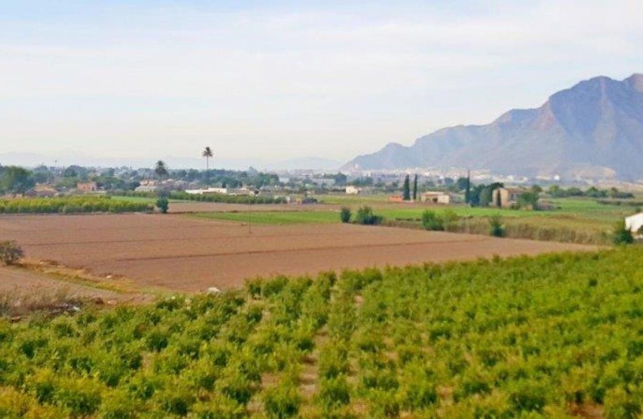 1 bedroom Finca/Country House for sale in Callosa de Segura - € 260,000 (Ref: 9461703)