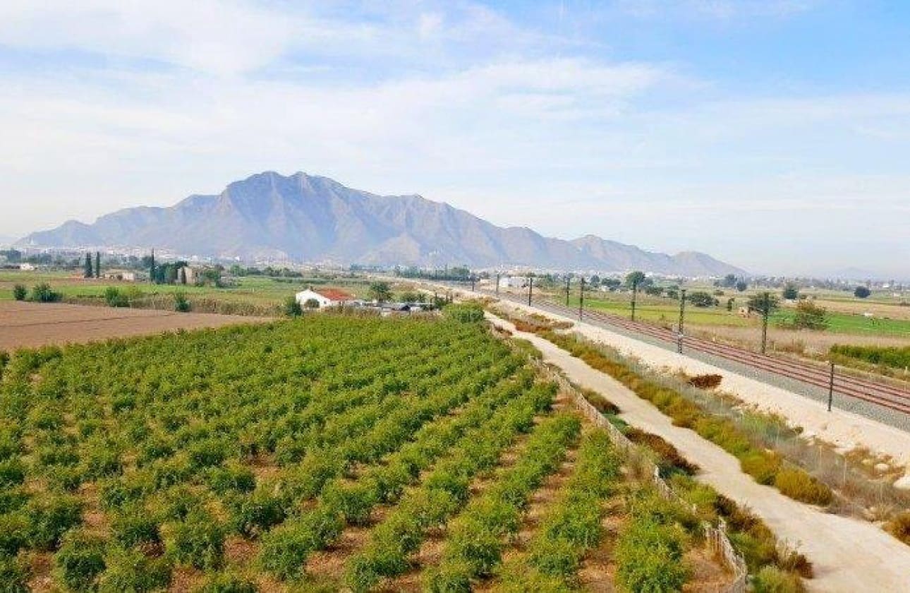 1 bedroom Finca/Country House for sale in Callosa de Segura - € 260,000 (Ref: 9461703)