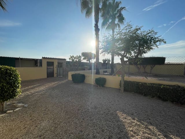 1 sovrum Finca/Hus på landet till salu i Carrús Oest - El Toscar, Elche / Elx - 254 000 € (Ref: 9526898)