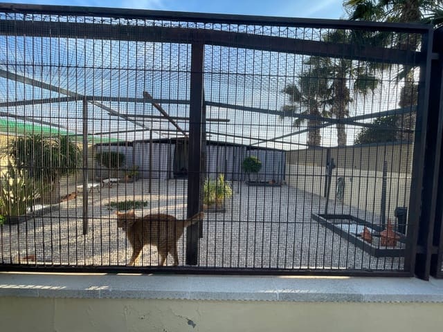 1 sovrum Finca/Hus på landet till salu i Carrús Oest - El Toscar, Elche / Elx - 254 000 € (Ref: 9526898)