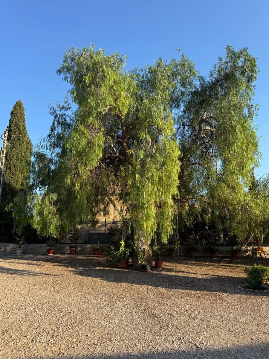 4 sovrum Villa till salu i Albatera med pool - 385 000 € (Ref: 9530013)