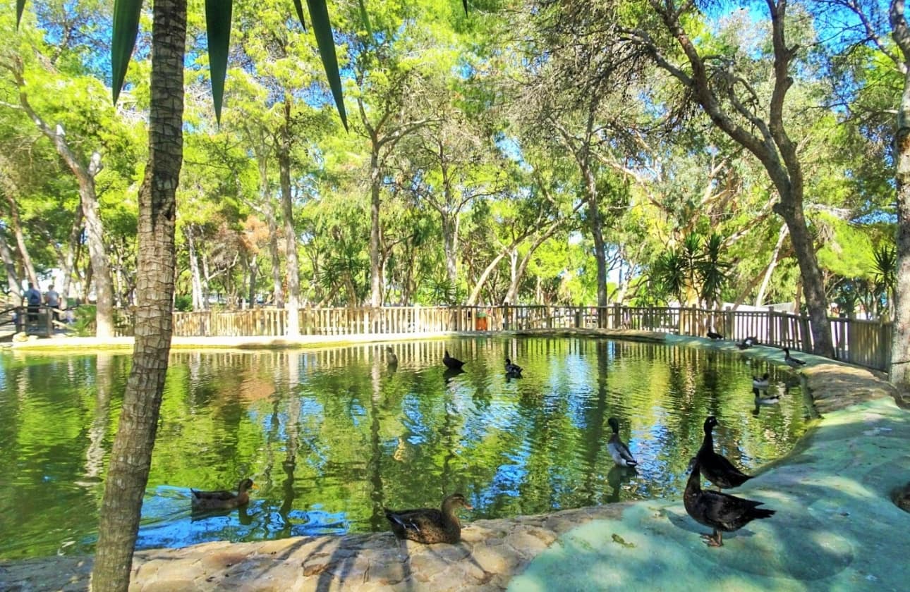 3 camera da letto Appartamento in vendita in Guardamar del Segura con garage - 339.500 € (Rif: 9594546)