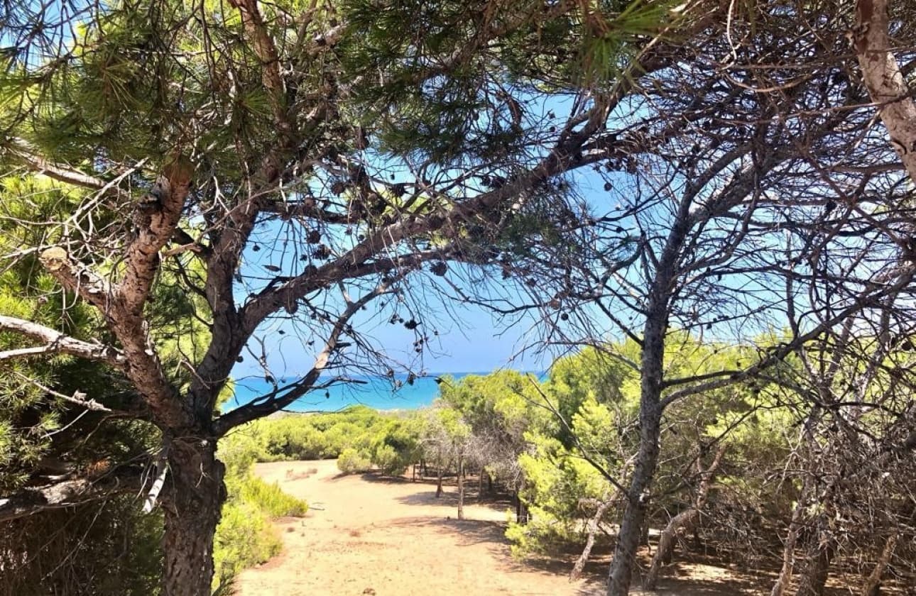 3 camera da letto Villa in vendita in Ciudad Quesada con piscina - 460.000 € (Rif: 9594553)