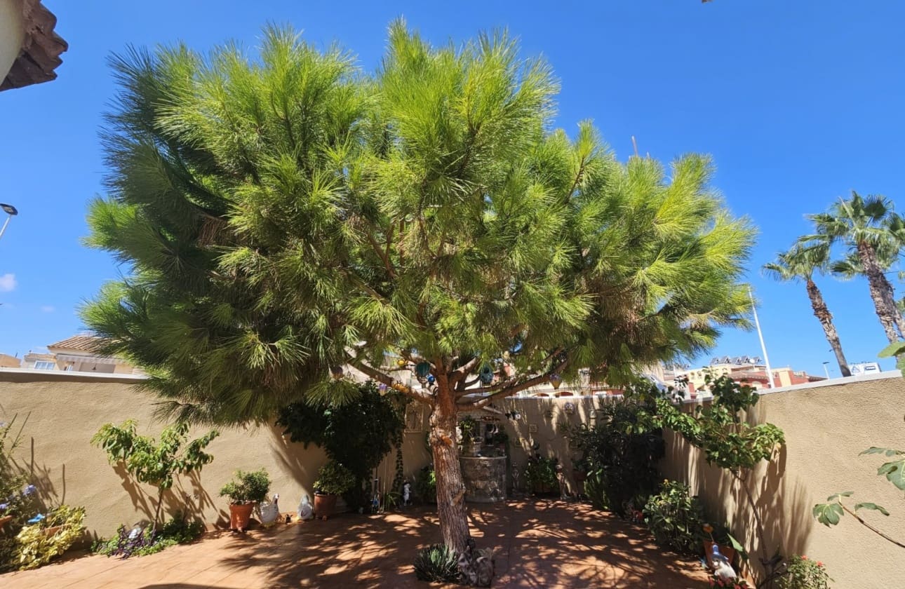 3 chambre Villa/Maison à vendre à La Mata avec garage - 495 000 € (Ref: 9594563)