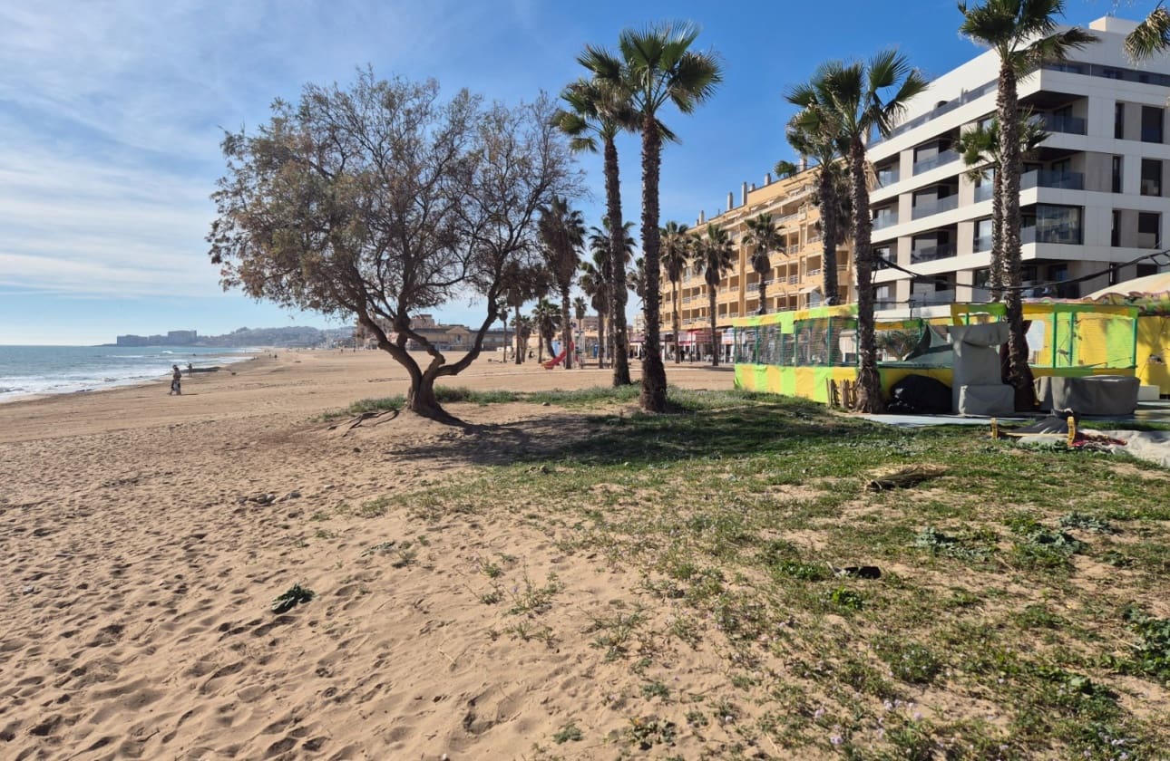 1 chambre Bungalow à vendre à La Mata - 89 900 € (Ref: 9598149)