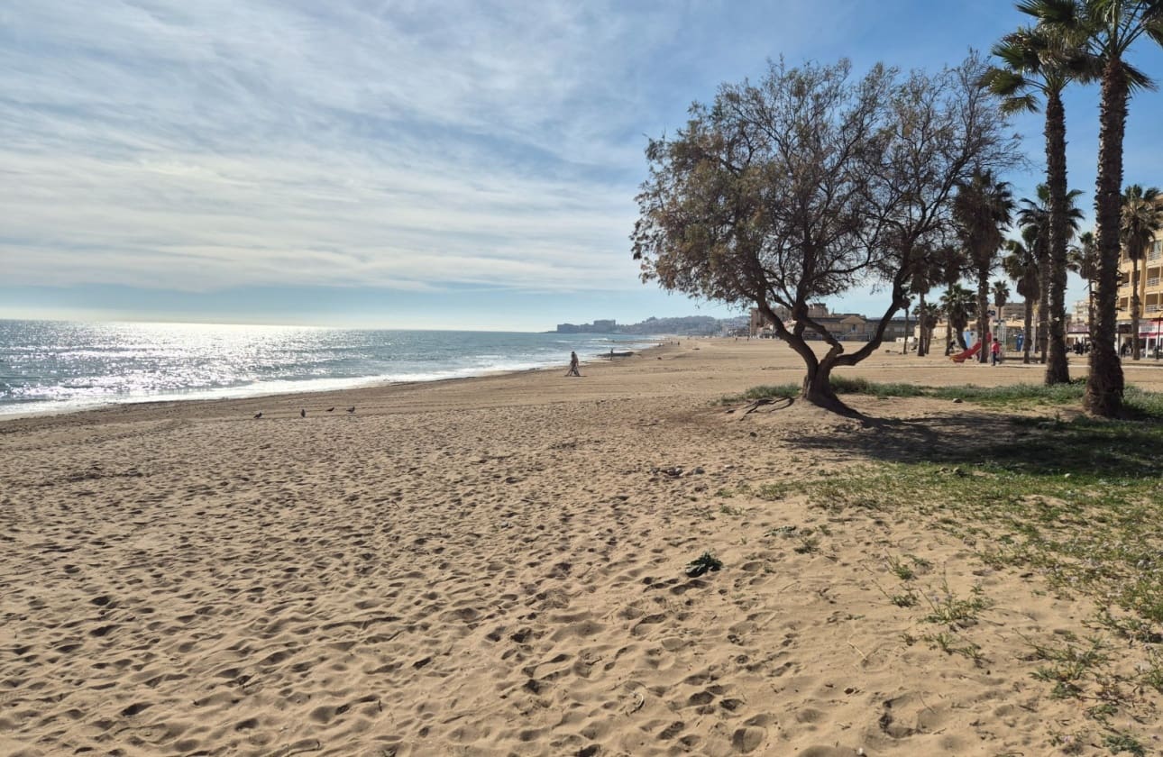 1 chambre Bungalow à vendre à La Mata - 89 900 € (Ref: 9598149)