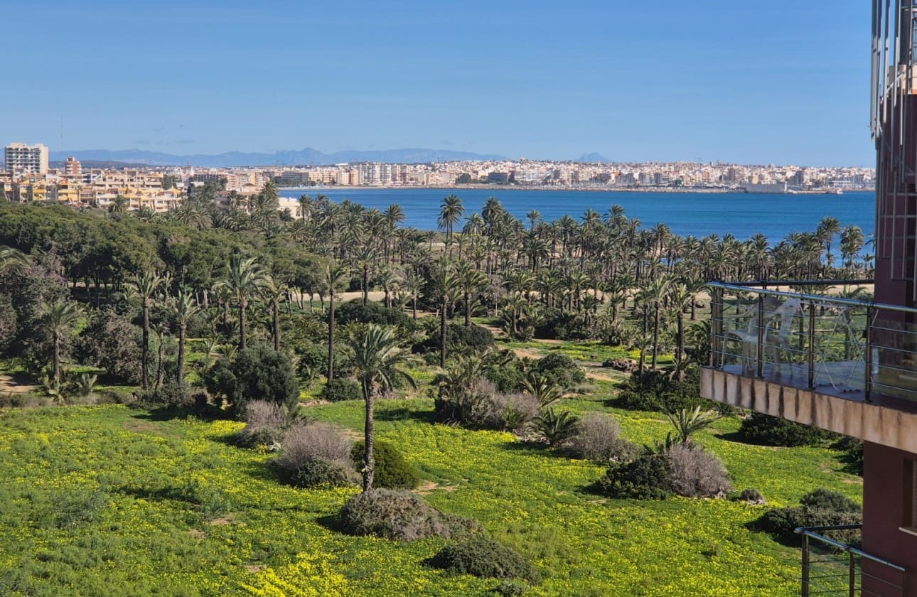 2 slaapkamer Penthouse te koop in Punta Prima met zwembad garage - € 250.000 (Ref: 9613089)