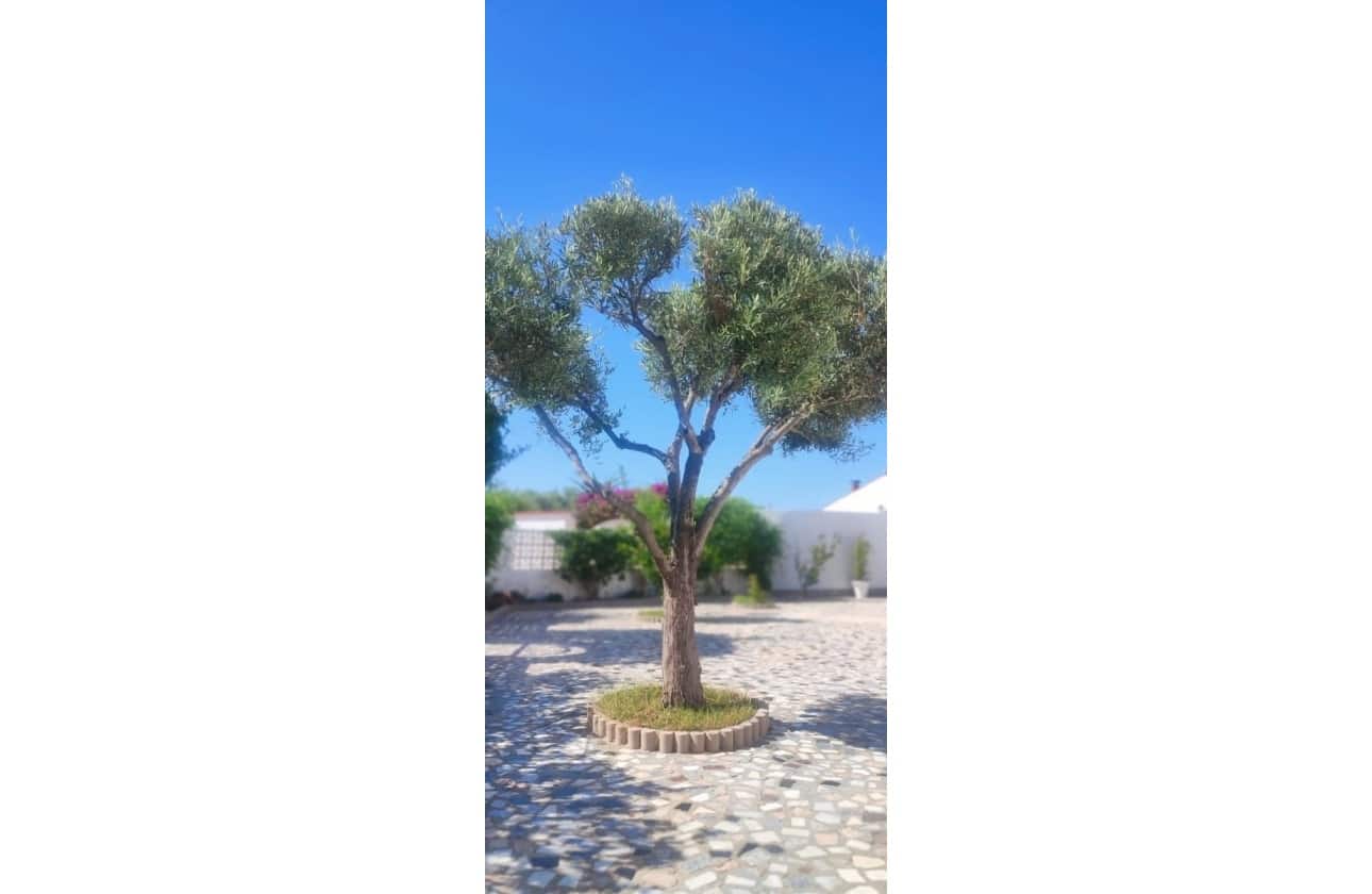 Chalet de 5 habitaciones en Ciudad Quesada en venta con piscina garaje - 420.000 € (Ref: 9618733)