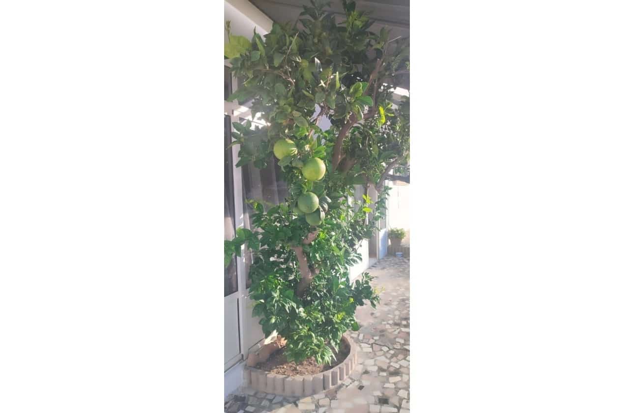 Chalet de 5 habitaciones en Ciudad Quesada en venta con piscina garaje - 420.000 € (Ref: 9618733)