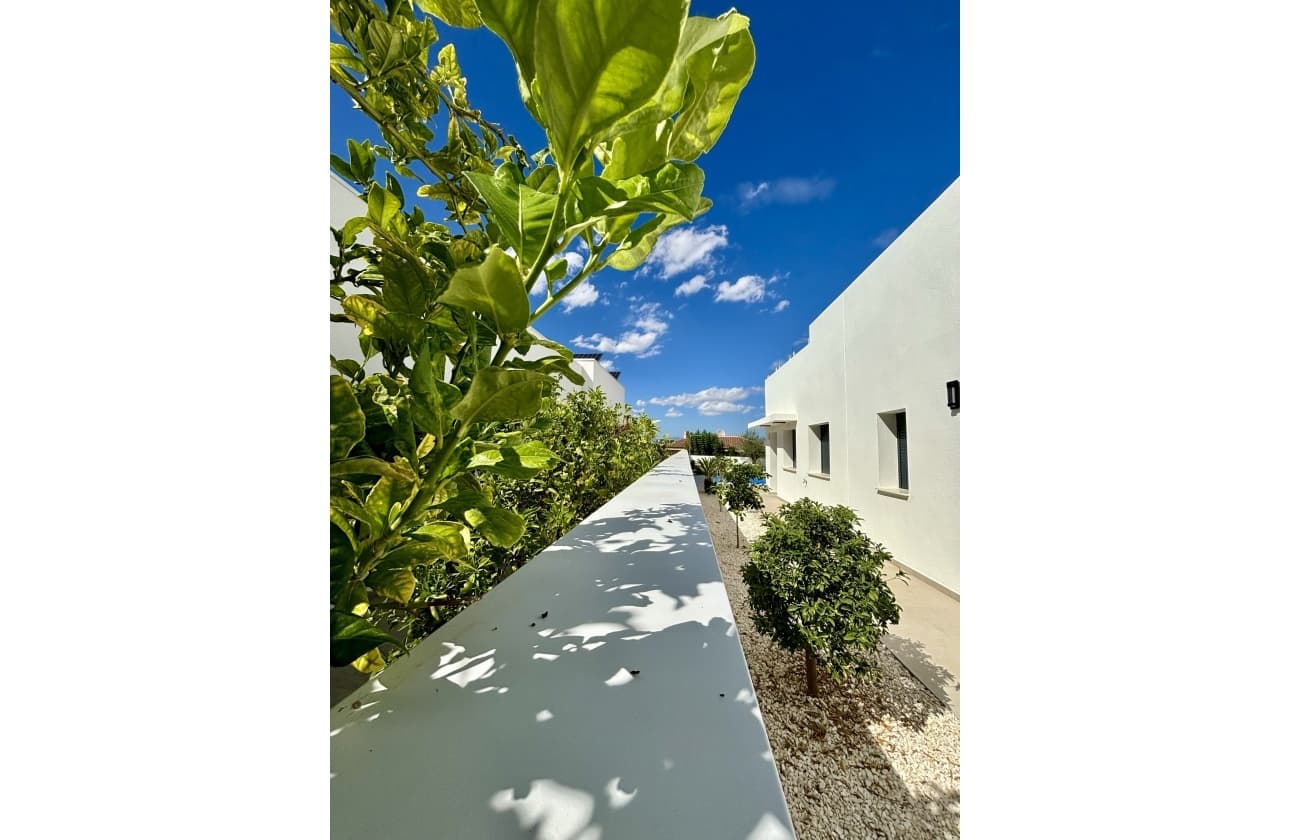 3 sypialnia Willa na sprzedaż w Benijofar - 589 000 € (Ref: 9753678)