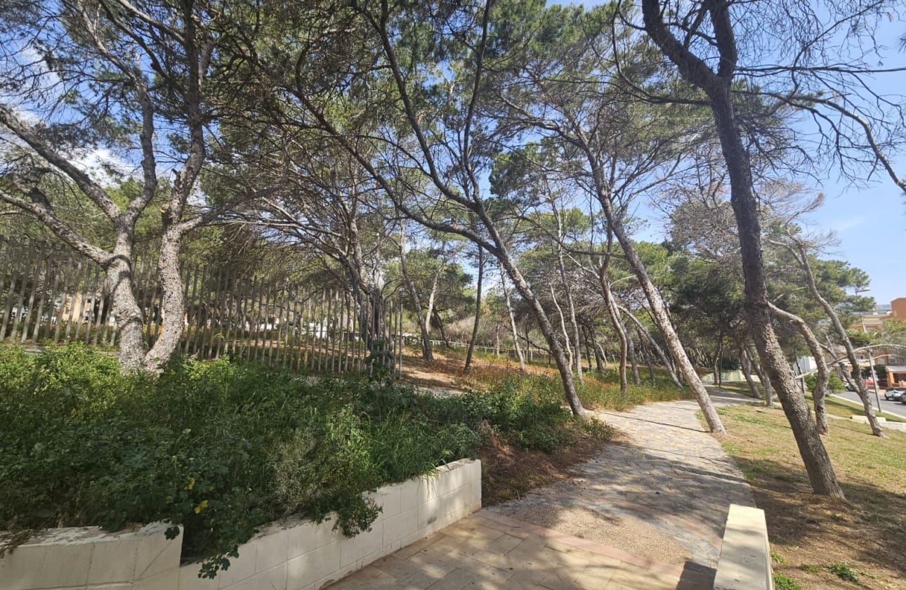 3 makuuhuone Ranta-asunto myytävänä paikassa Guardamar del Segura mukana 
autotalli - 220 000 € (Ref: 9808603)