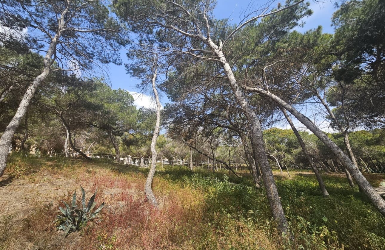 3 makuuhuone Ranta-asunto myytävänä paikassa Guardamar del Segura mukana 
autotalli - 220 000 € (Ref: 9808603)