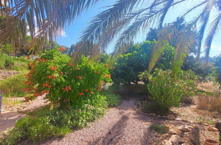 4 chambre Villa/Maison à vendre à Hondon de las Nieves - 279 999 € (Ref: 10004521)