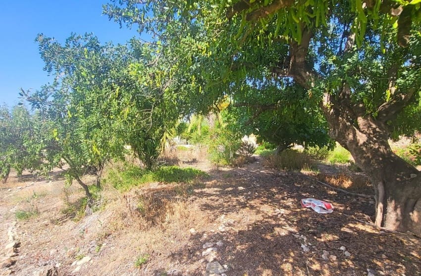 4 chambre Villa/Maison à vendre à Hondon de las Nieves - 279 999 € (Ref: 10004521)