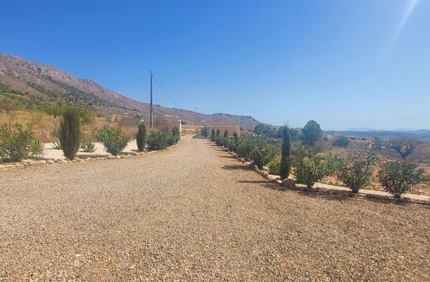 Chalet de 3 habitaciones en La Romana en venta con piscina garaje - 289.999 € (Ref: 10088770)