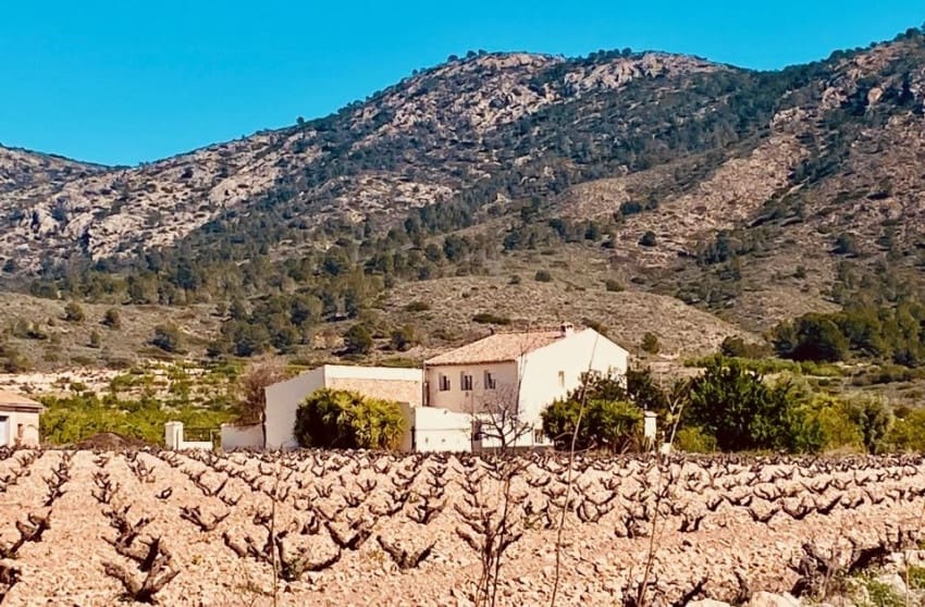 5 camera da letto Villa in vendita in El Canton con piscina garage - 449.000 € (Rif: 10094294)