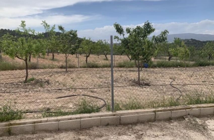 4 bedroom Villa for sale in Pinoso - € 179,900 (Ref: 8617392)