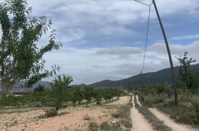 4 bedroom Villa for sale in Pinoso - € 179,900 (Ref: 8617392)