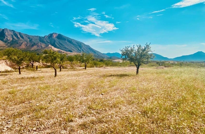 3 soveværelse Villa til salg i Macisvenda med swimmingpool garage - € 299.950 (Ref: 8617505)