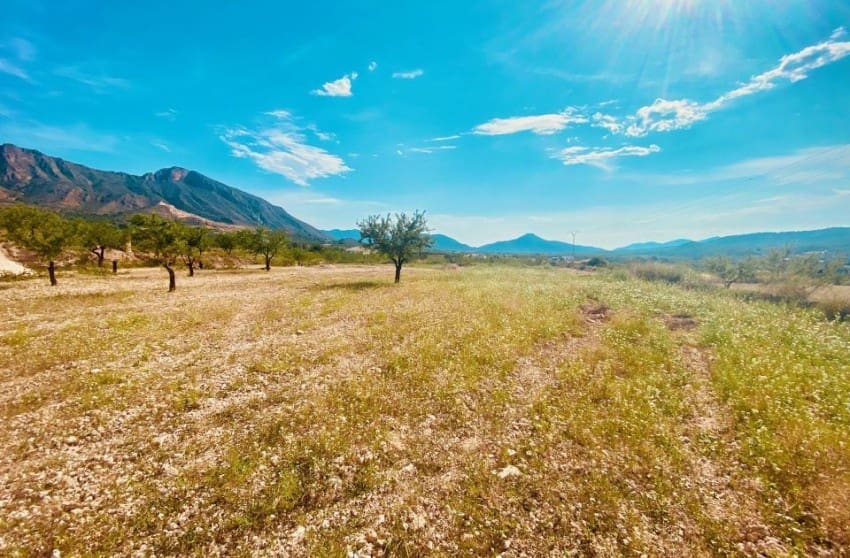 3 soveværelse Villa til salg i Macisvenda med swimmingpool garage - € 299.950 (Ref: 8617505)