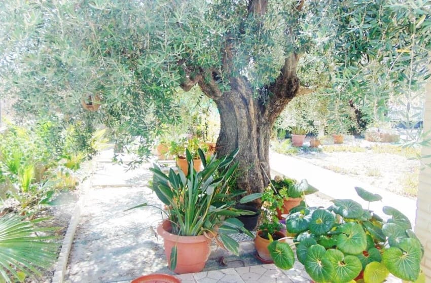 4 chambre Villa/Maison à vendre à Fortuna avec piscine garage - 229 995 € (Ref: 9228230)