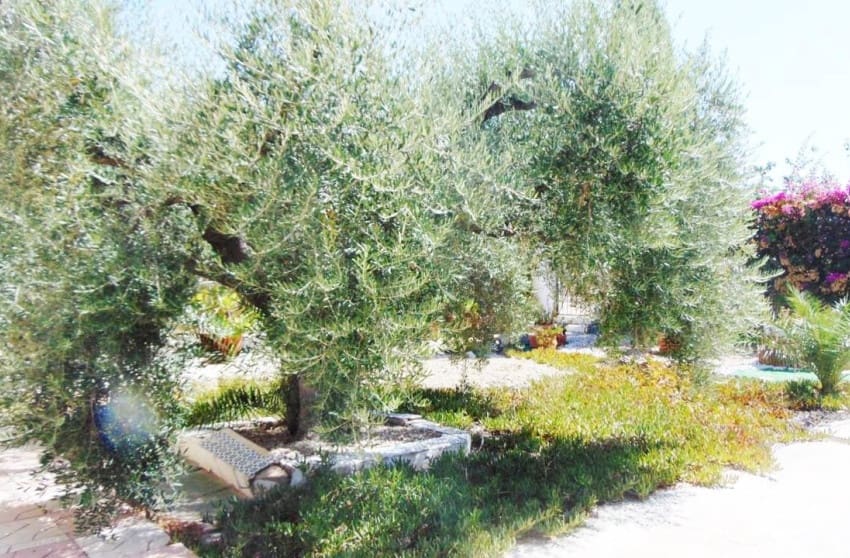 4 chambre Villa/Maison à vendre à Fortuna avec piscine garage - 229 995 € (Ref: 9228230)