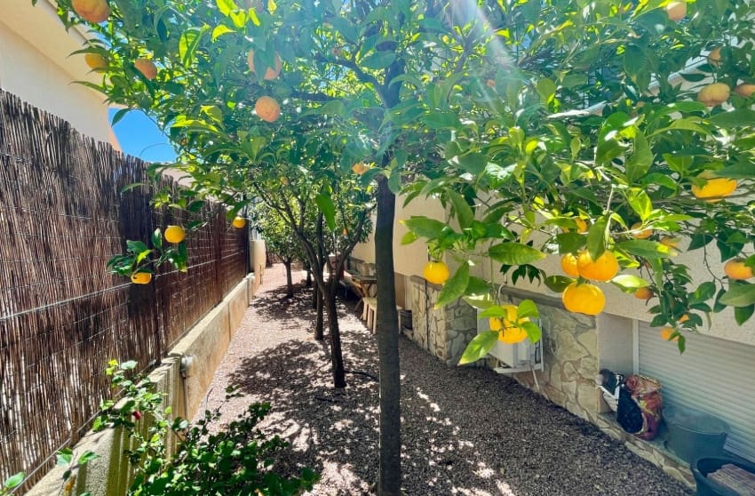 4 chambre Villa/Maison à vendre à Hondon de las Nieves avec piscine - 389 950 € (Ref: 9249341)