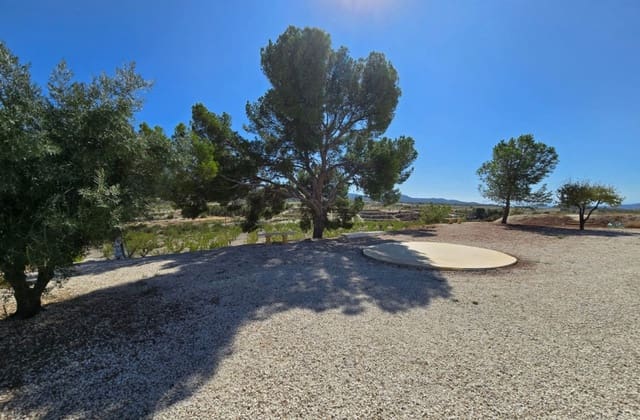 4 sypialnia Finka/Dom wiejski na sprzedaż w Jumilla z basenem - 225 000 € (Ref: 9249345)