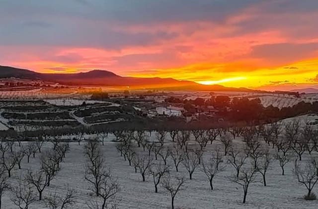 4 sypialnia Finka/Dom wiejski na sprzedaż w Jumilla z basenem - 225 000 € (Ref: 9249345)