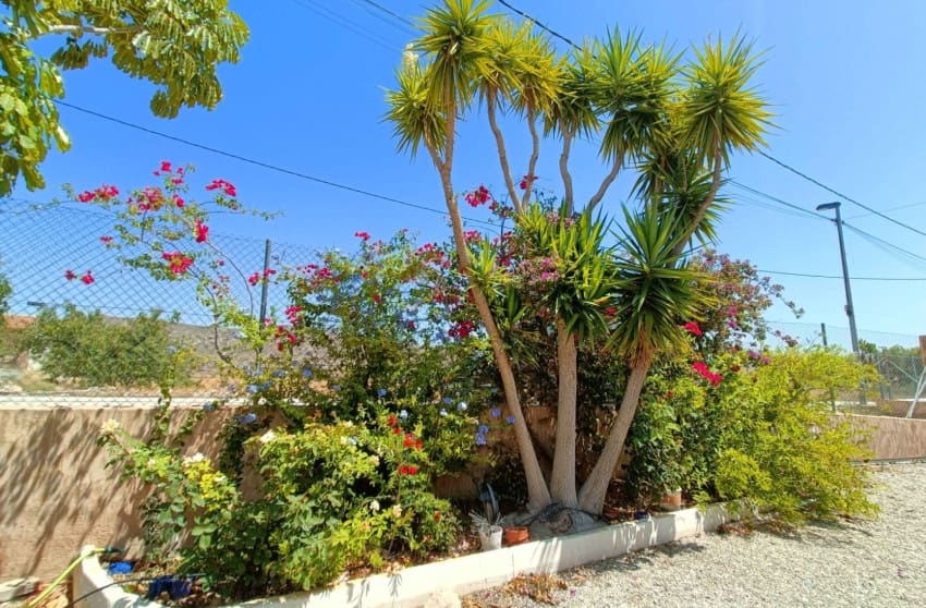 5 slaapkamer Villa te koop in Abanilla met zwembad - € 392.000 (Ref: 9309385)