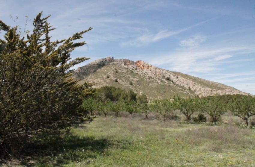 3 soverom Finca/Herregård til salgs i Villena med svømmebasseng - € 269 000 (Ref: 9319571)