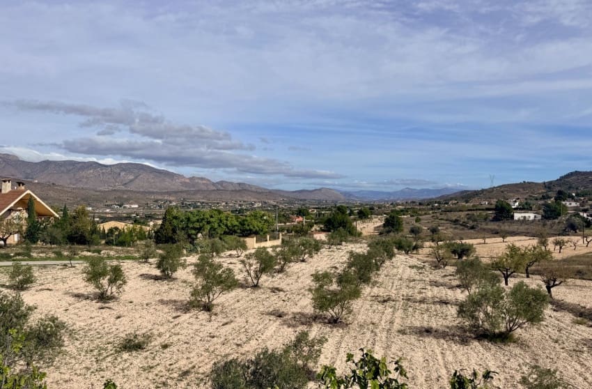 4 slaapkamer Villa te koop in Hondon de los Frailes met zwembad - € 380.000 (Ref: 9360512)