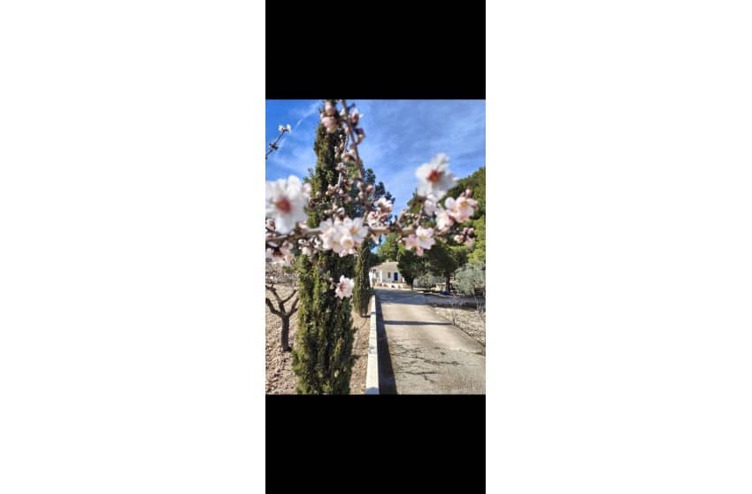 3 chambre Finca/Maison de Campagne à vendre à Yecla avec piscine garage - 210 000 € (Ref: 9473644)